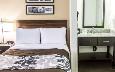 Sleep Inn Tinley Park I-80 near Amphitheatre-Convention Center