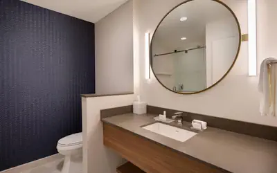 Fairfield Inn & Suites by Marriott Tampa Wesley Chapel