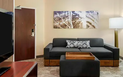 SpringHill Suites by Marriott Wheeling Triadelphia Area