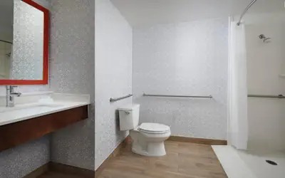 Hampton Inn Meridian