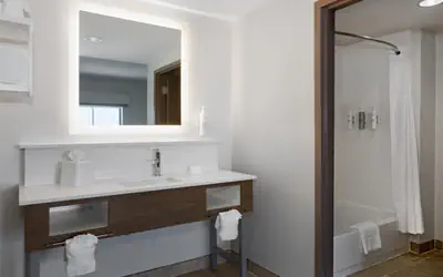 Hampton Inn & Suites Dallas-Arlington North-Entertainment District