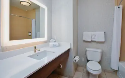 Holiday Inn Express Hotel & Suites Auburn Hills by IHG