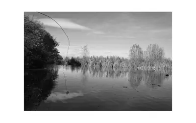 Modern Lodge Retreat with Fire Pit & Entertainment Room for 4 Guests