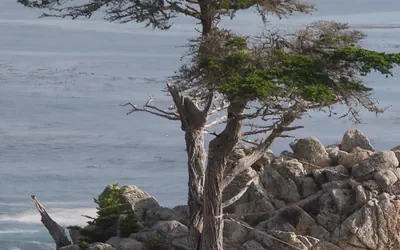 Charming Guest House with Kitchen in Oak Lawn - Sleeps 4