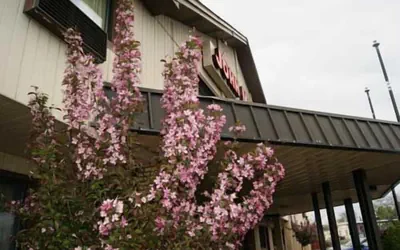 Rodeway Inn Syracuse Carrier Circle