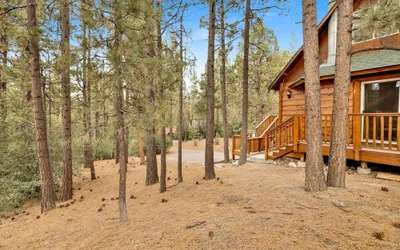 Living LOG Cabin #1494