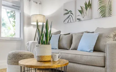 Alani Bay Premium Condos