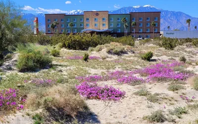 Best Western Plus Coachella Valley Inn & Suites