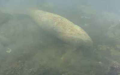 Coconut Cove Resort and Marina