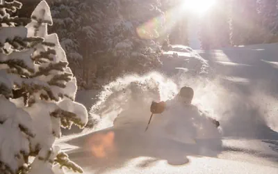 Updated 1 Bedroom In Mountaineer Square Condo - No Cleaning Fee! by RedAwning