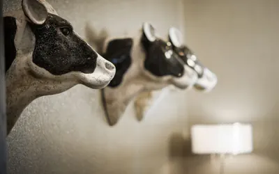 Holiday Inn Express & Suites Madison Central by IHG