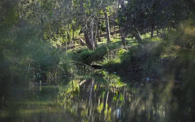 Onera Fredericksburg