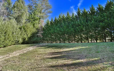 Kingdom on Knollwood