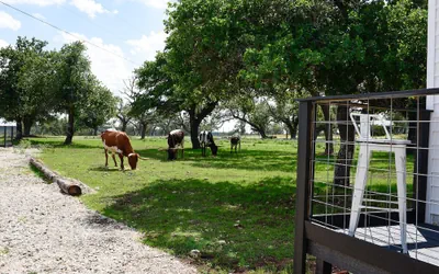 Best Fredericksburg Bed & Breakfast