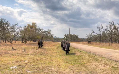 Hill Country Hideaway With Fire Pit and Hot Tub!