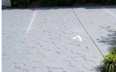 Beautiful And Comfortable Home and studios