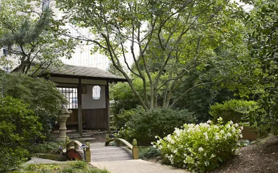 Grand Hyatt Atlanta in Buckhead