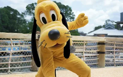 Disney's Port Orleans Resort - Riverside