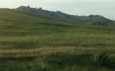 Super 8 by Wyndham Vacaville