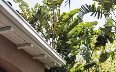 The Beverly Hills Hotel