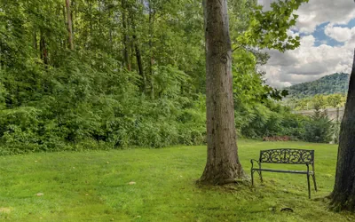 Best Western Asheville Blue Ridge Parkway