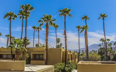 Desert Vacation Villas