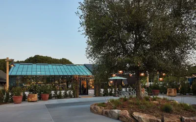 Treehouse Hotel Silicon Valley