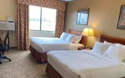 Comfort Inn & Suites Morton - Peoria