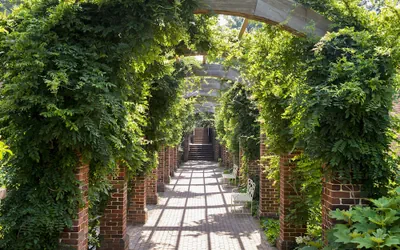 Williamsburg Lodge, Autograph Collection