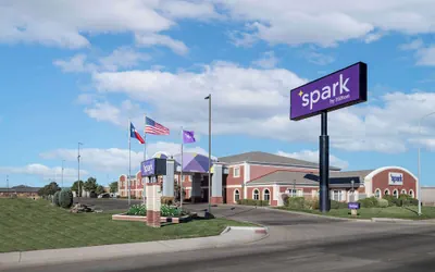 Spark by Hilton Dumas