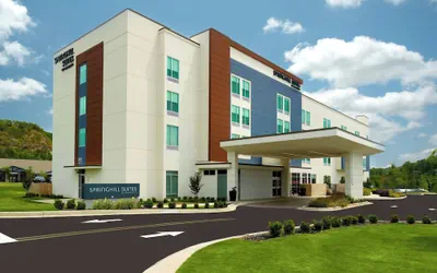 Springhill Suites By Marriott Ellijay