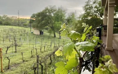 The Guesthouse at The Lonely Oak