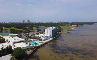 Seashell Shuffle at Pilot House