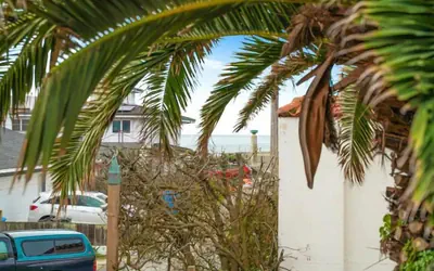 Coastal Palm Tree 2BR Retreat Ocean View