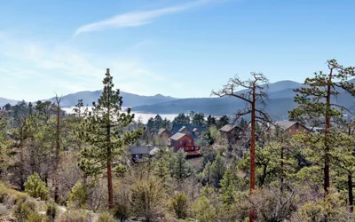 Starlight Vistas #1524