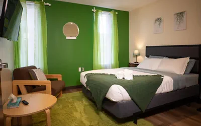 Downtown Apt Walk to all Stadiums Conv Center