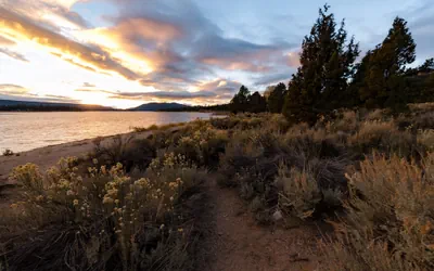 Reality Escape #2466