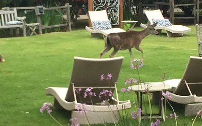 Andril Fireplace Cottages