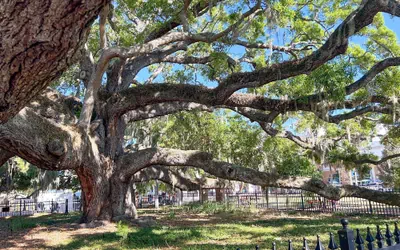 Canopy Cove Stunning 2BR Apt Heart of Downtown