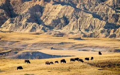 ClubHouse Hotel & Suites - Rapid City