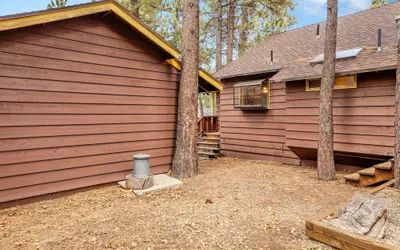 Sugar Bear Pines #2493