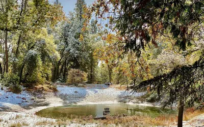 Romantic Forest Loversnest by Casa Oso