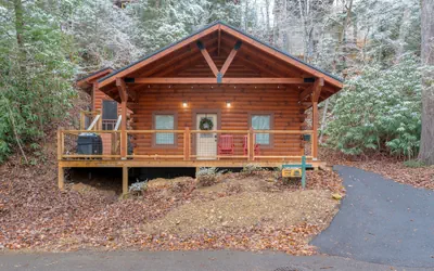 282 Cozy Cub 1 Bedroom Cabin
