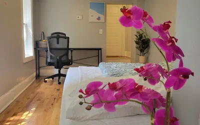 Entire House 1BD King Bed near Downtown