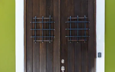 150 Sol by Stay with Bear