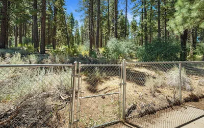 Blue Skies- Modern Cabin