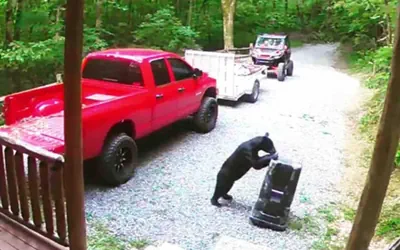 Beautiful Cabin w hot tub Sauna Pool Table