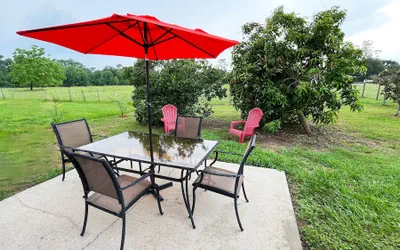 BlockHaven near Legoland & Disney