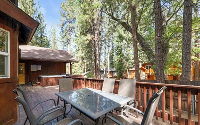 Arctic Wolf at Summit Base