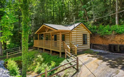 Pet-friendly Cabin 1 Gburg Fire Pit Games